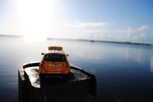 Captiva enjoying the view in Key Largo
