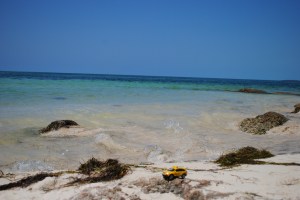 Bahia Honda Key