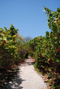 Bahia Honda Key