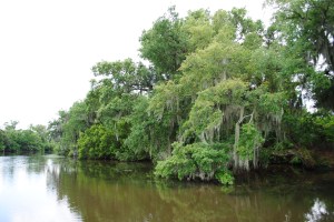 Bayou, Louisiana