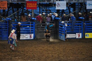 Rodeo, Cody