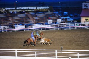Rodeo, Cody