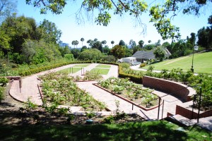 Garden, Greystone Mansion, Beverly Hills, California