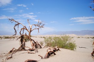Death Valley National Park, California