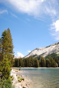 Yosemite National Park, California