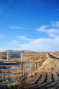 Dry meadows in the middle of California