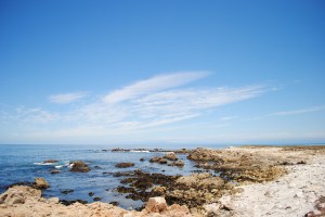 17-mile Drive, Pebble Beach, California
