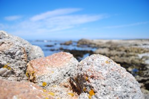 17-mile Drive, Pebble Beach, California