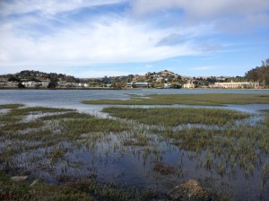 Sausalito, California
