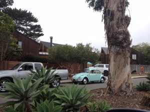 Santa Barbara, California