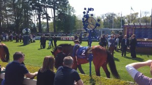 Parade ring, Derrinstown Stud Derby Trial, Leopardstown Racecourse